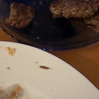Migros'tan Aldığım Köftede Beklenmedik Sorunlar