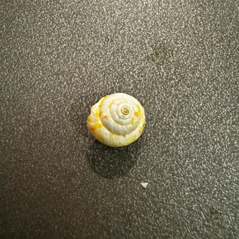 Migros Garnitürden Çıkan İstenmeyen Sürpriz