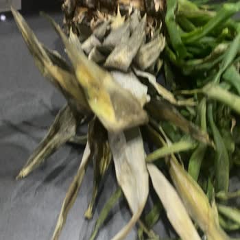 A101 Eve Teslimatında Çürük Ürün Sorunu