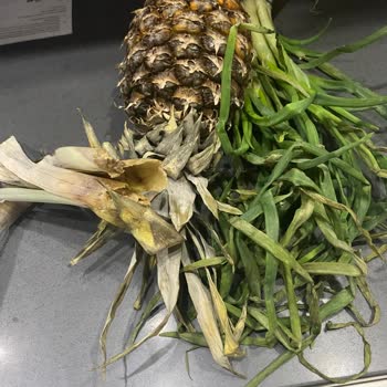 A101 Eve Teslimatında Çürük Ürün Sorunu