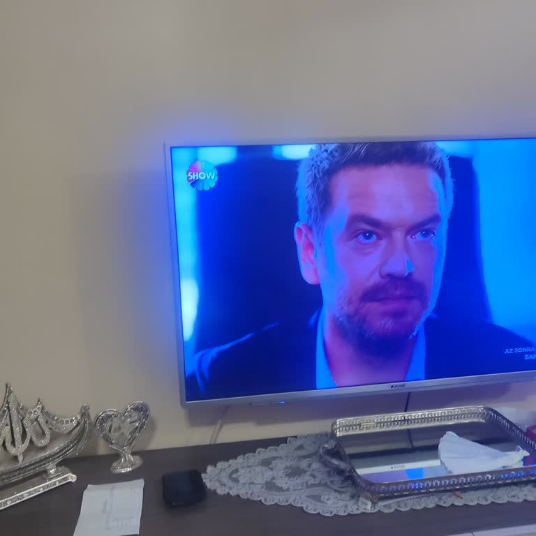 Arçelik TV Mavi Ekran Sorunu