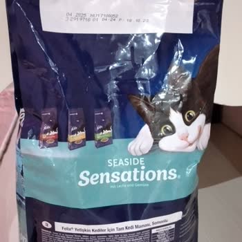 Kedimi Hasta Eden Kalitesiz Kedi Maması