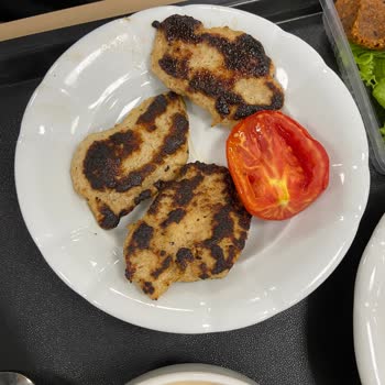 Kredi Ve Yurtlar Kurumu Kalitesiz Ve Yanık Yemek Sorunu