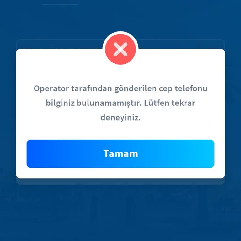 Halkbank Mobil Uygulama Erişim Sorunu