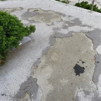 Engelli Erişimine Engel Olan Bakımsız Alan