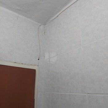 Kurulumda Yaşanan Sorunlar Ve Hasar
