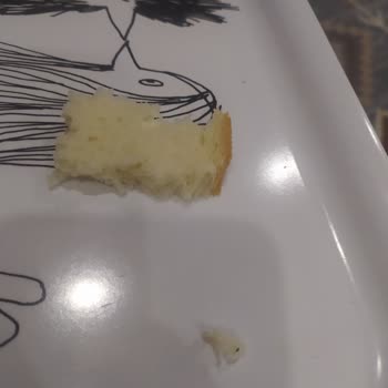 Tost Ekmeğinde Şok Edici Böcek Sürprizi