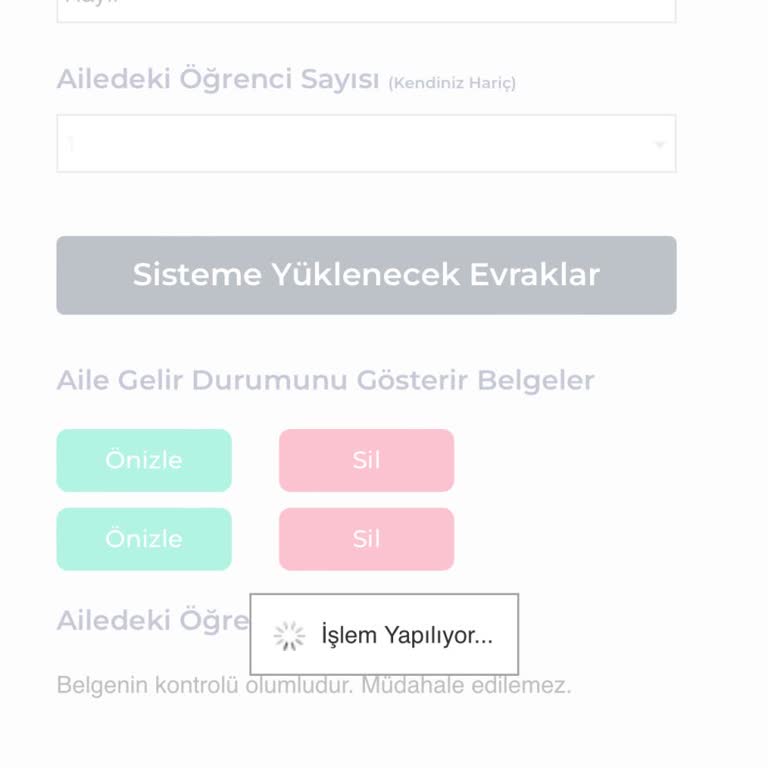 Burs Başvuru Sürecinde Takılı Kaldım Yardım Bekliyorum