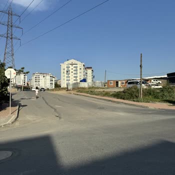 Çayırova'da Başıboş Köpekler Ve Yetersiz Aydınlatma Sorunu