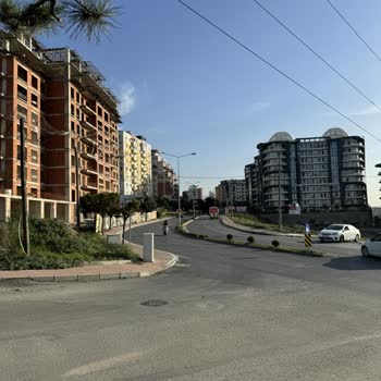 Çayırova'da Başıboş Köpekler Ve Yetersiz Aydınlatma Sorunu