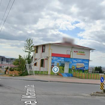 Çayırova'da Başıboş Köpekler Ve Yetersiz Aydınlatma Sorunu