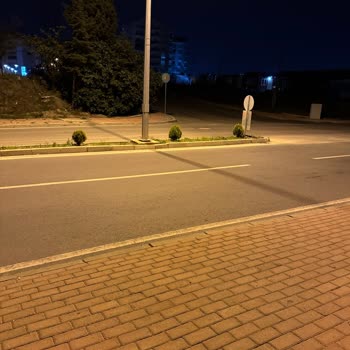 Çayırova'da Başıboş Köpekler Ve Yetersiz Aydınlatma Sorunu