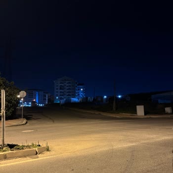 Çayırova'da Başıboş Köpekler Ve Yetersiz Aydınlatma Sorunu