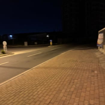 Çayırova'da Başıboş Köpekler Ve Yetersiz Aydınlatma Sorunu