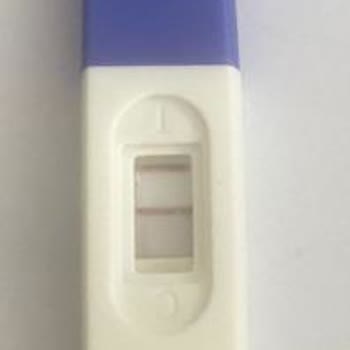 Yanıltıcı Gebelik Testi Sonuçlarıyla Hayal Kırıklığı