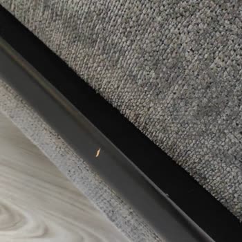 Zen Moda Şikayetçiyim