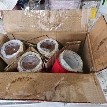 Kırık Bal Kavanozu Ve Özensiz Taşıma