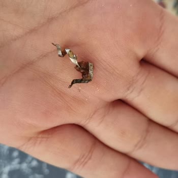 Gurme212 Kurutulmuş Domates Kavanozunda Demir Çıktı