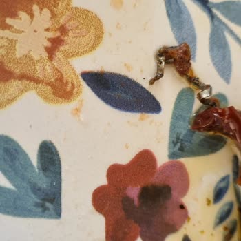 Gurme212 Kurutulmuş Domates Kavanozunda Demir Çıktı