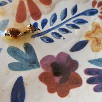 Gurme212 Kurutulmuş Domates Kavanozunda Demir Çıktı