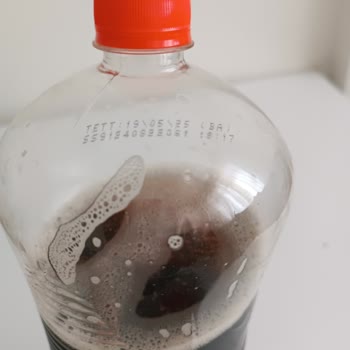 Didi'nin Şeftali Aromalı İçeceği Hayal Kırıklığı Yarattı