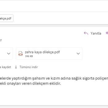 Anadolu Sigorta'nın Sağlık Geçiş Bilgisi Engeli