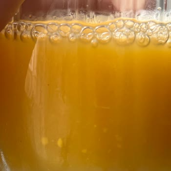 Bozuk Dimes Portakal Suyu: Maya Baloncukları Ve Ton Balığı Kokusu