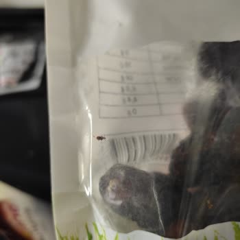 BİM'den Aldığım Hurmalardan Böcek Çıktı