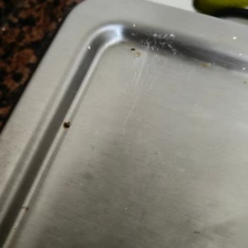 Arçelik Altus Set Üstü Ocak Paslanma Sorunu Ve Değişim Talebi