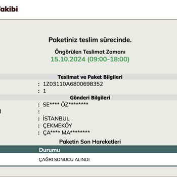 UPS Türkiye İle Teslimat Sorunu: Kayıp Kargo Ve İletişim Eksikliği