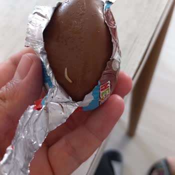 Kurtlu Yumurta Şoku: Güven Sarsan Deneyim