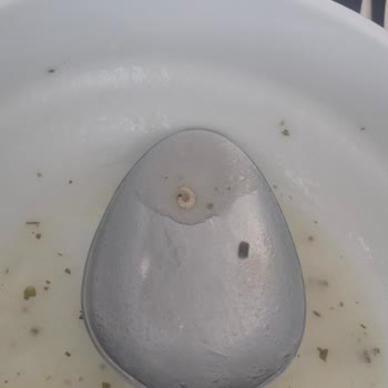 Üniversite Yemekhanesinde Hijyen Sorunu