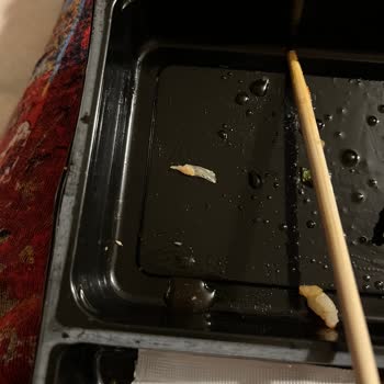 Sushida California Roll'da Beklenmedik Yabancı Madde