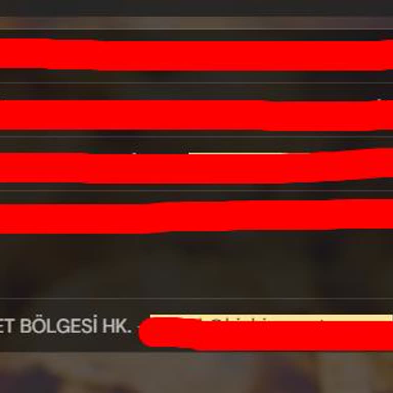 BinBin Scooterların Garaj Girişimizi Engellemesi