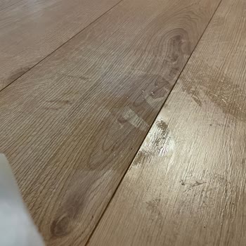 Deterjan Sızıntısı Alışverişimi Mahvetti