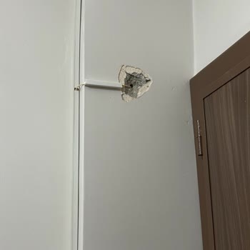 Kolon Delinmesiyle Sonuçlanan Kurulum Hatası