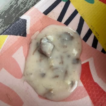 Çorbanın İçinden Kıl Çıktı: Sağlık Riski Ve Hijyen Sorunu