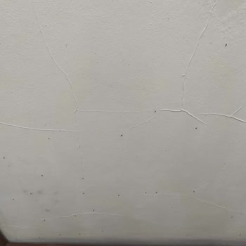 Eczacıbaşı Detan Sinek İlacı Beklentileri Karşılamadı