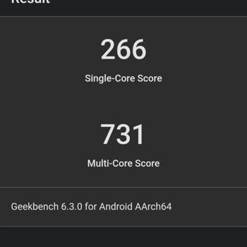 Yavaş Performans Ve Kayıp Özellikler
