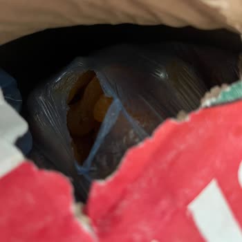 Hasarlı Kargo Teslimatı: Yırtık Ve Açık Paketler