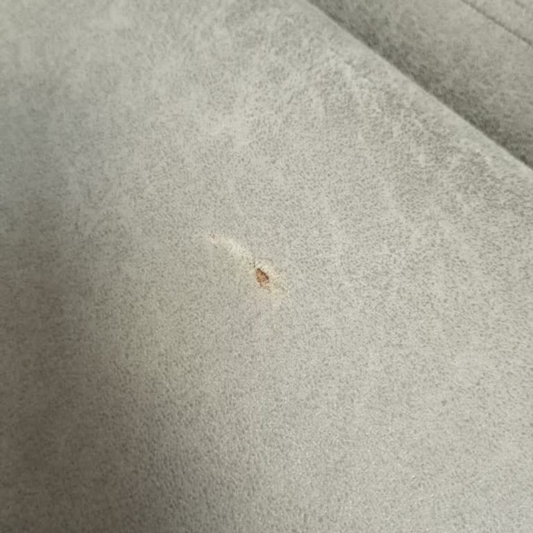 Kilim Mobilya'nın Sorumsuz Sevkiyat Ve Yetersiz Müşteri Hizmetleri