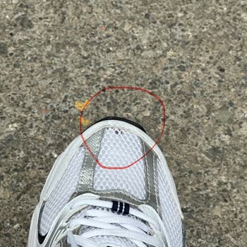 Sportive Kısa Sürede Deforme Olan Ayakkabı Ve Şaşırtan Müşteri Hizmetleri