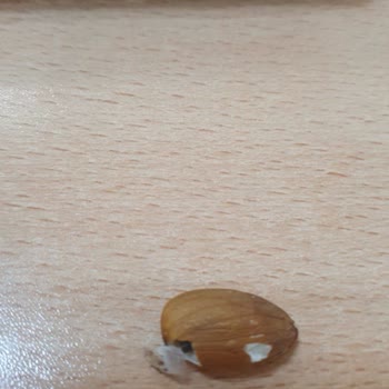 BİM'den Aldığım Çiğ Bademde Kurt Şoku!