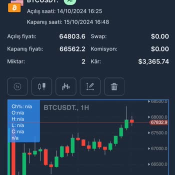 Yatırım Platformunda Karşılaştığım Sorunlar