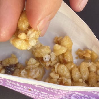 Corny Bar'dan Çıkan İstenmeyen Sürpriz