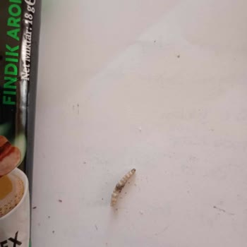 Kahvemde Kurtçuk Şoku: Cafex Markasında Beklenmedik Sürpriz