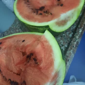 Getir'den Gelen Hayal Kırıklığı: Bozuk Ürün Ve Yetersiz Destek