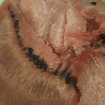 Getir'den Gelen Hayal Kırıklığı: Bozuk Ürün Ve Yetersiz Destek