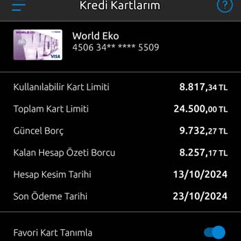Kredi Kartı Blokesi Ve Otomatik Ödeme Sorunu