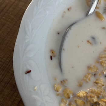 Burch Müsli'den Böcek Şoku: A101'de Sağlık Tehlikesi!